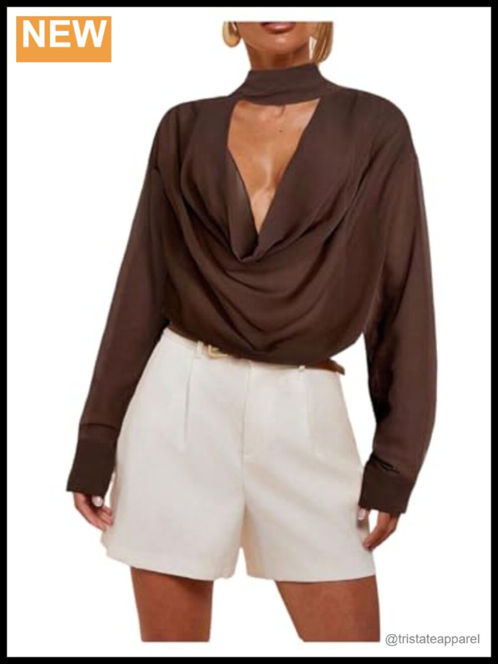 Cowl Neck Long Sleeve Sheer Mesh Blouse Women's Dressy Top